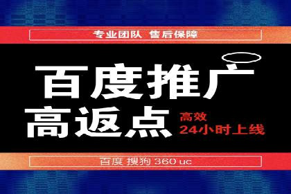 SEM推广在本地化服务中的应用案例